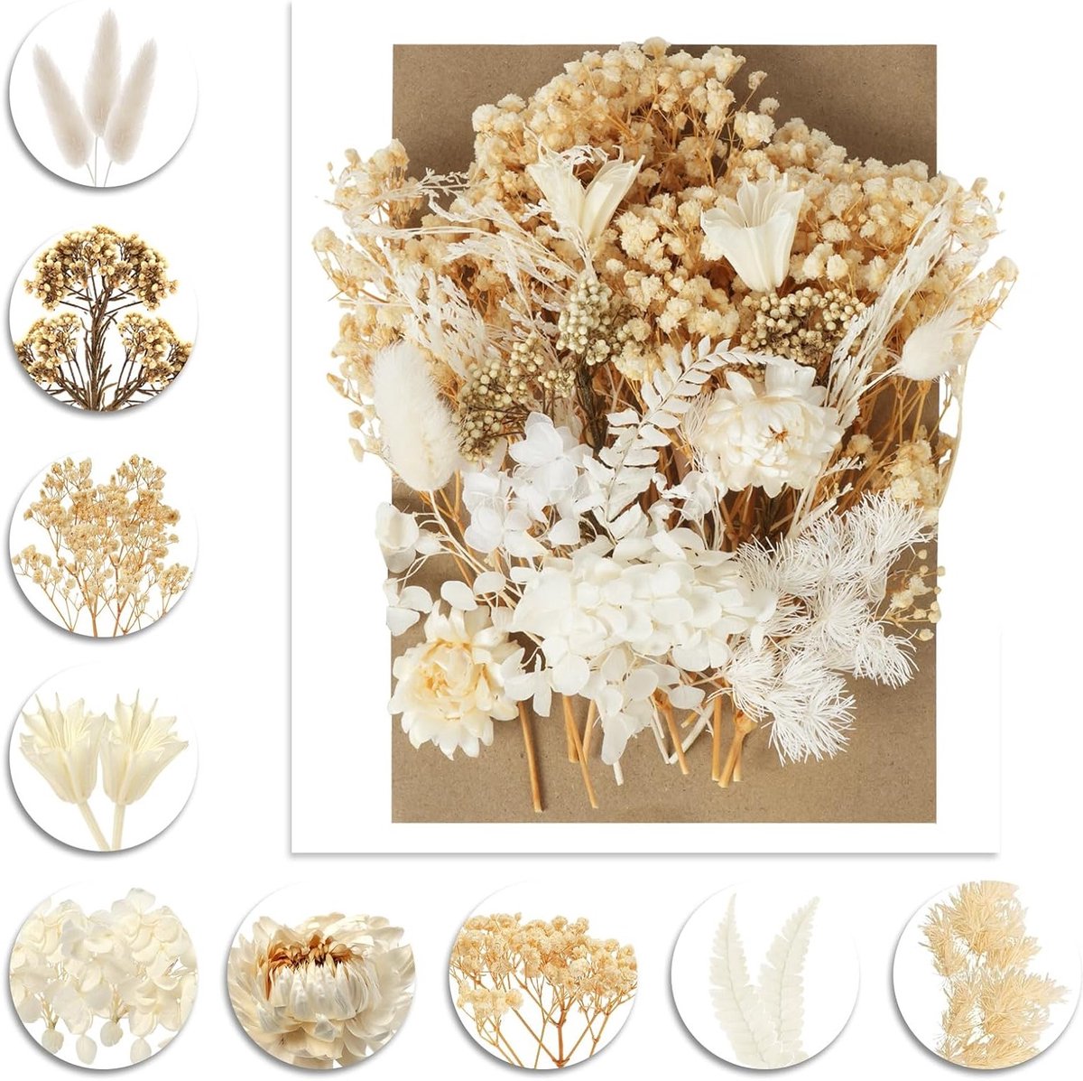 Natuurlijke Gedroogde Bloemen voor Creatieve Projecten, DIY Kunst, Resin, Scrapbooking en Kaarten Maken