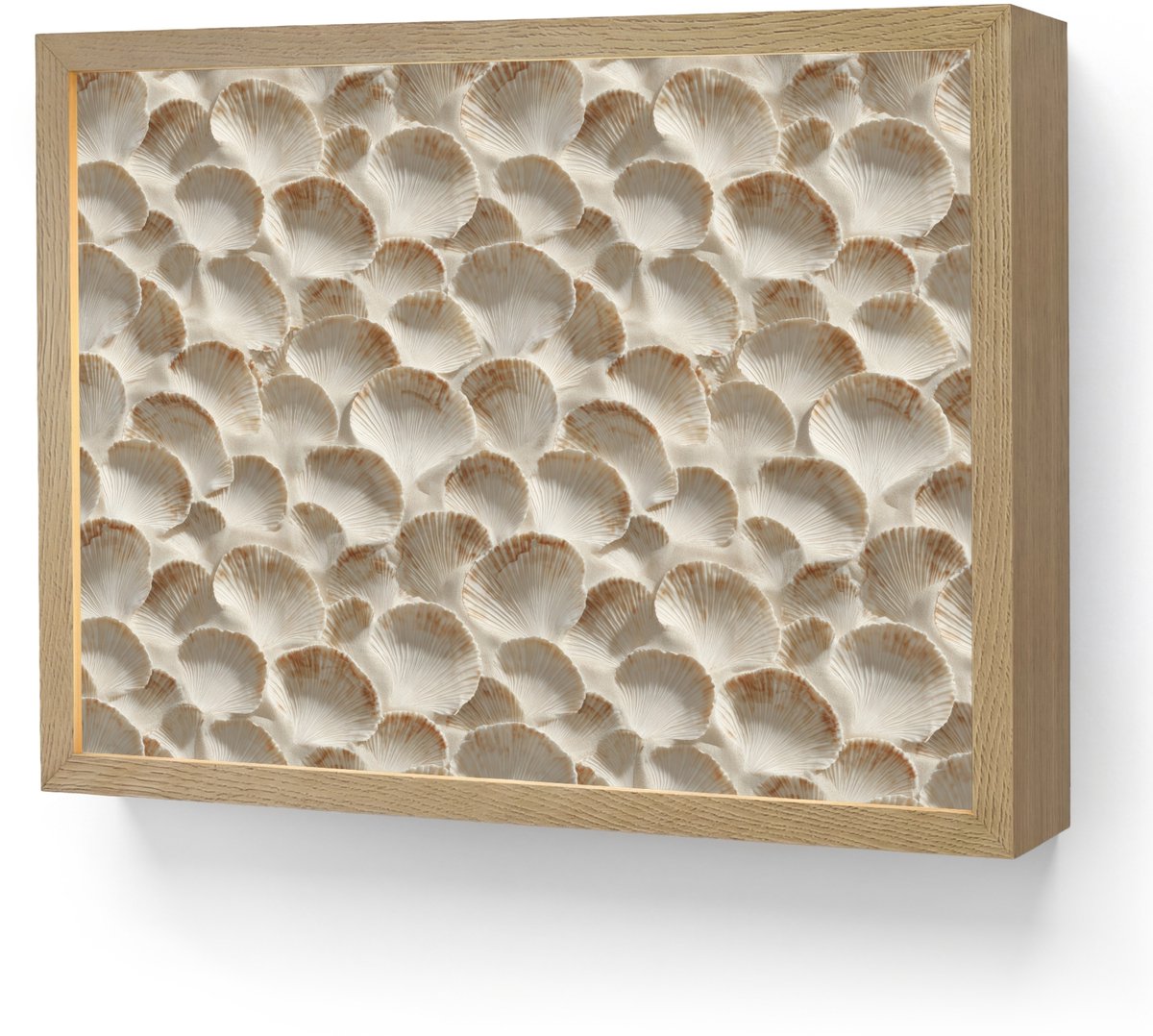 Wandlamp 40x30 cm - Oplaadbaar - Schelpen - Waaiervorm - Wit - Wandlampen binnen woonkamer