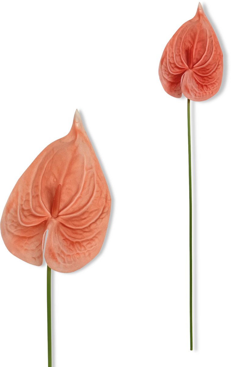 Inspiruj Anturium piankowe - Kunstbloem - 57 cm - Oranje Morel