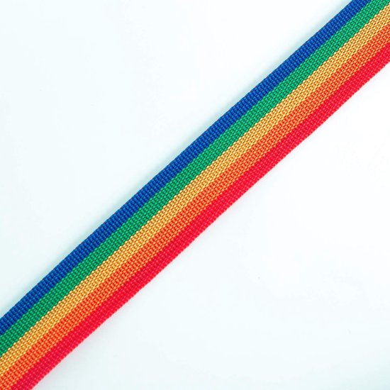PP Riem Regenboog - Polypropyleen Band - Handwerk en Naaien - Hittebestendig en Slijtvast - 91 meter x 50 mm — afbeelding 3