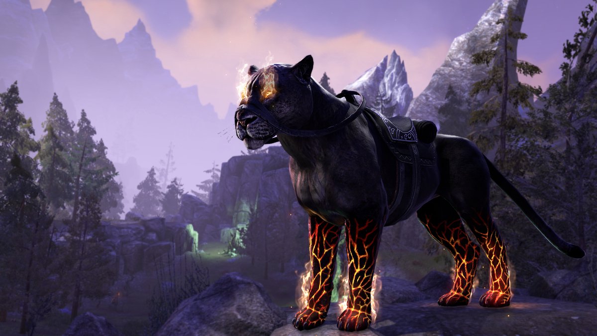 Bethesda The Elder Scrolls Online : Summerset, M (Volwassen)