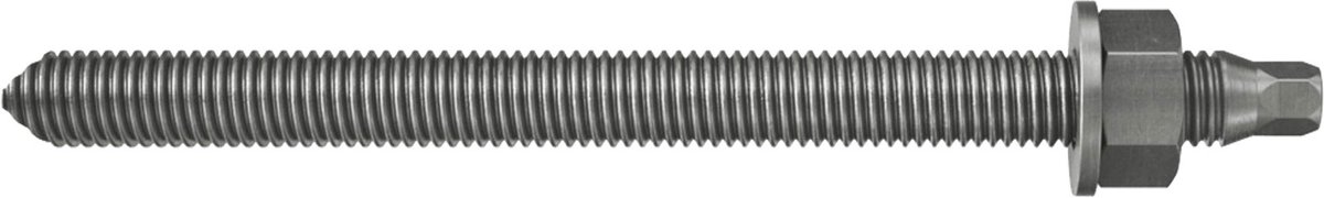 Fischer 10x Ankerstang RG M 16 x 250 mm roestvrij staal A4 - 050298