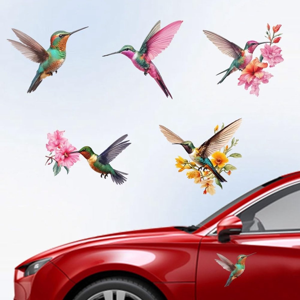 By shayne - 5 Stijlen Vogels Vinyl Decals - Kolibrie Auto Stickers - Levendige Decoratie - 15,5 cm - Voor Vrachtwagens en Laptop - Multicolor