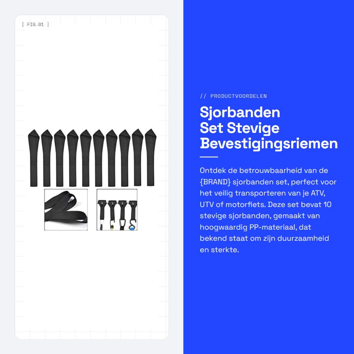 Dailygoods- Sjorbanden 10 stuks - Bevestigingsriemen - 125 kg capaciteit - PP-materiaal - Stevig en duurzaam - Afmetingen 20 x 2,5 cm