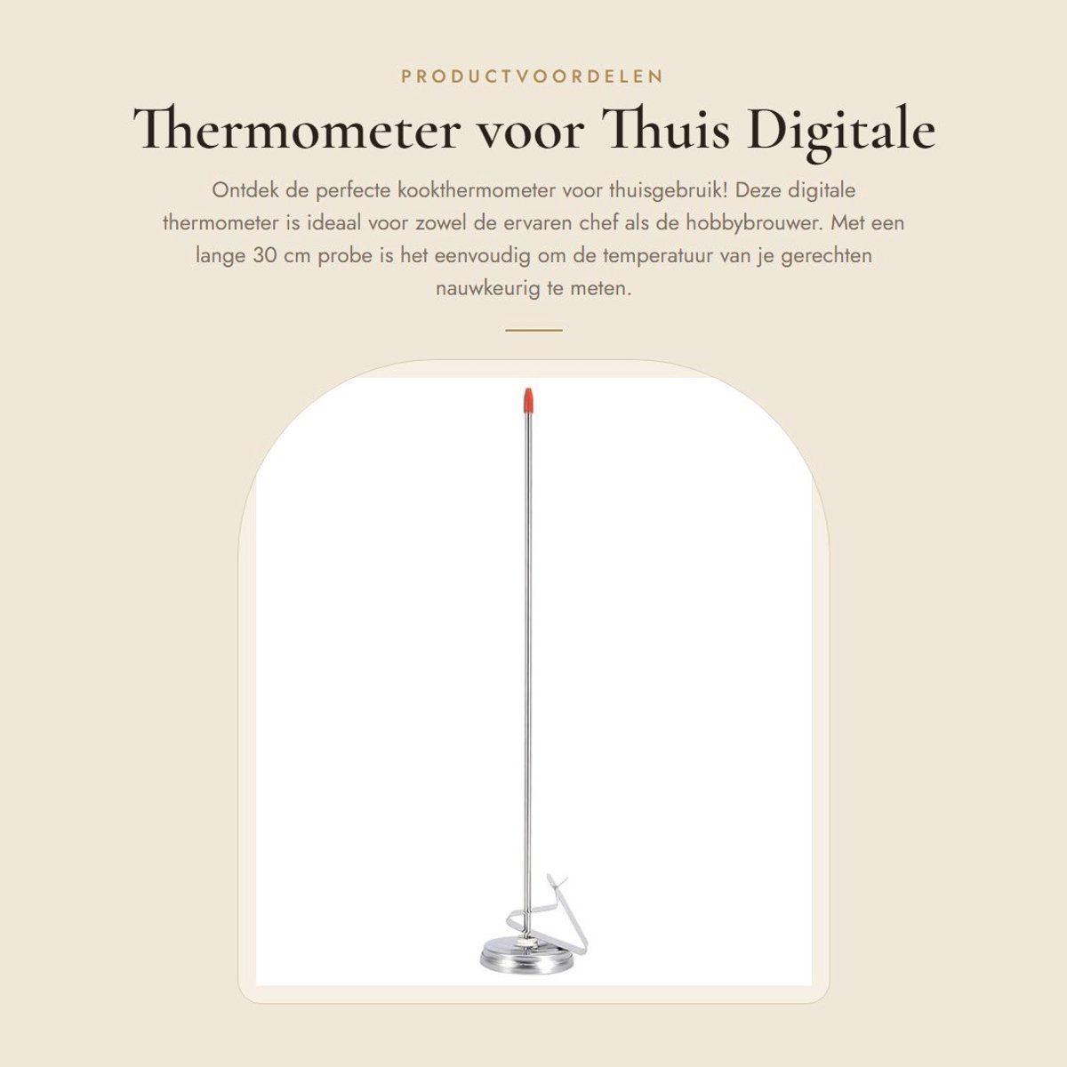 Dailygoods - Thermometer voor Thuis - Digitale Kookthermometer - Hoge Nauwkeurigheid - Zwart - Bier Thermometer - Voor Koken en Brouwen