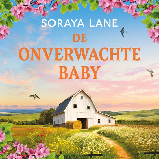 De onverwachte baby - cover