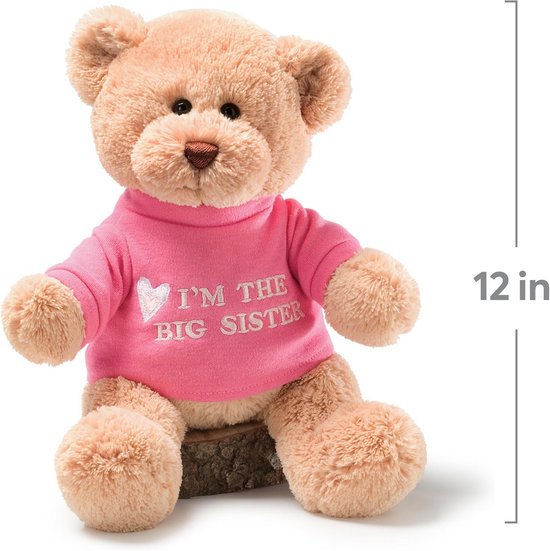 Knuffelbeer Grote Zus Pluche Speelgoed voor Nieuwe Baby van Anico. — afbeelding 3