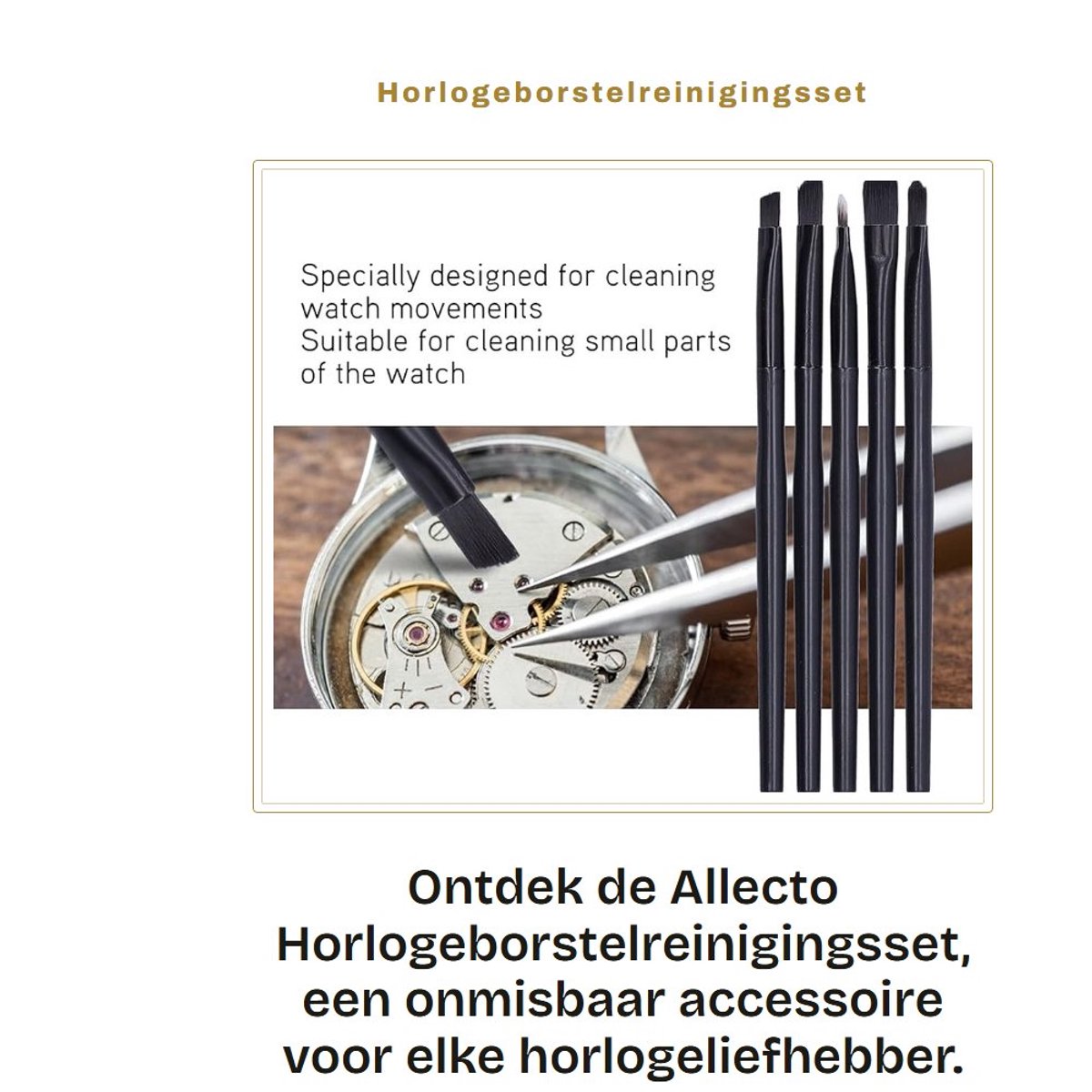 Dailygoods- Horlogeborstelreinigingsset - Reinigingsborstel - Kleine Onderdelen - Zachte Borstelset - Opbergdoos - Gebruiksvriendelijk - Reinigingsset