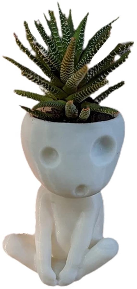 Dailygoods- Bloempot Lichtgevend Effect - Hars Bloempot - Cactus/Plant Pot - Leuke Gezicht Bloempot - Drainagegat - Decor voor Huis/Kantoor - Plantpot