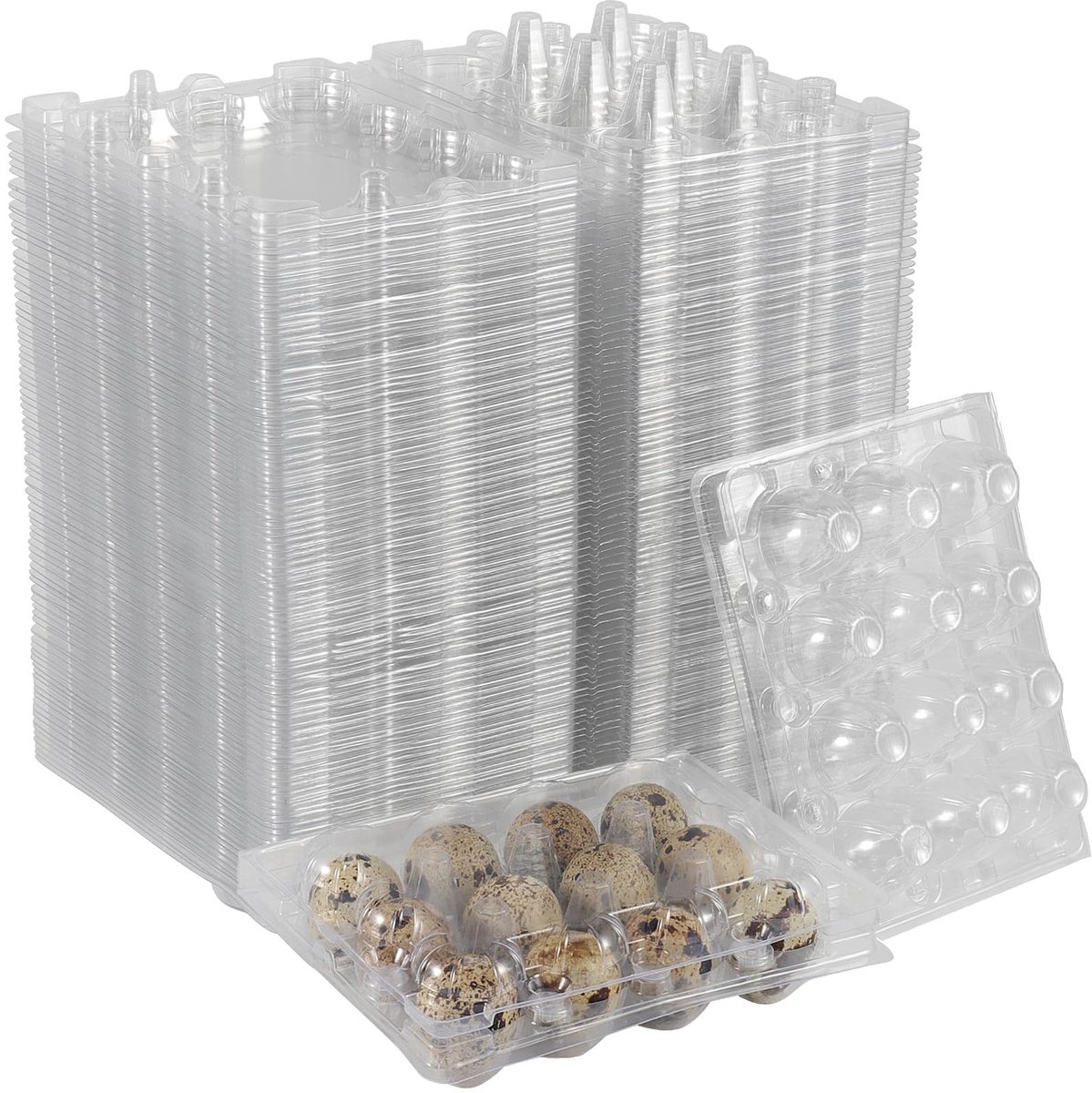 Dailygoods- Kwarteleierdoosjes 50 stuks - Plastic Eierdoosjes - Transparante Dozen - Duurzaam - Schokbestendig - Betrouwbare Bescherming - Eierdoos