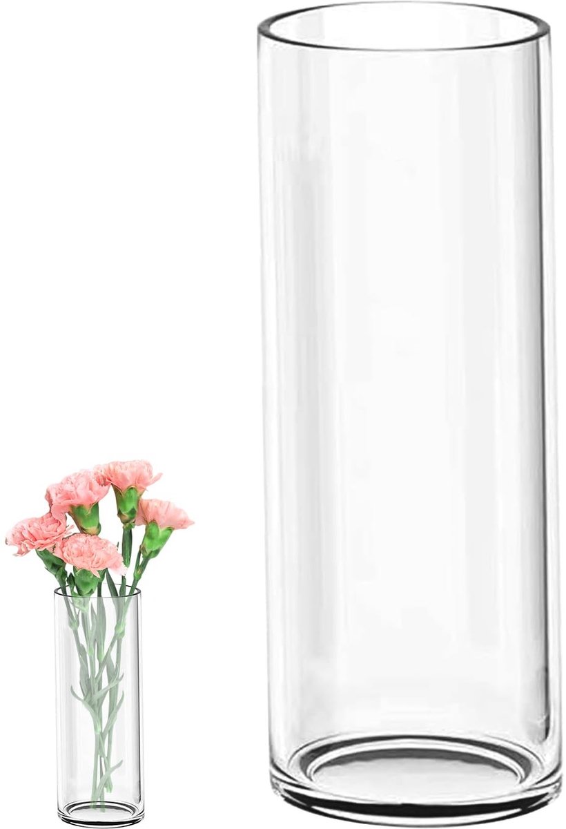 Dailygoods- Glazen Vaas Cilinder 35 cm Hoog - Grote Vaas - Bloemenvaas - Modern - Ø 12 cm - Geschikt voor Bloemen en Planten