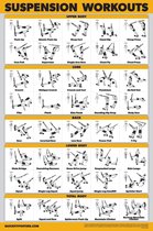 Suspension Workout Poster - Oefenposter - Fitness Training - Dubbelzijdig Gelamineerd - 46x68 cm - Neutraal