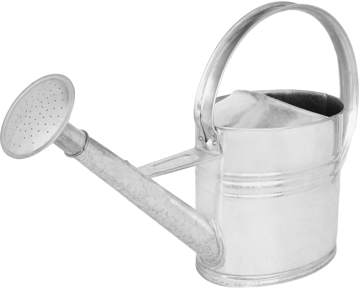KOTARBAU® Gieter, Plantengieter, Verzinkt Staal, 10 L, Zilver, Met Afneembare Broes, Bloemengieter, Ergonomische Handgreep, Kamerplanten Gieter