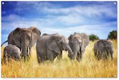 Tuinposter 120x80 cm - Tuindecoratie Olifanten - Familie - Safari - Poster voor in de tuin - Buiten decoratie - Schutting tuinschilderij - Tuindoek muurdecoratie - Wanddecoratie balkondoek