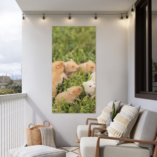 Décoration murale d'extérieur Hamster doré avec garçon - 80x160 cm - Toile de jardin - Poster extérieur
