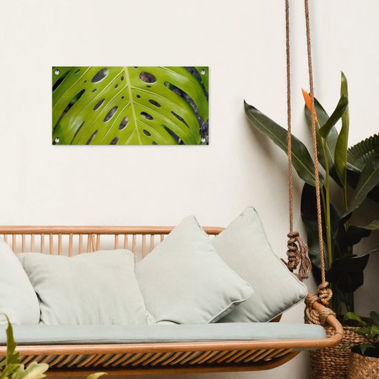 Affiche de jardin Groot feuille botanique de la plante du trou - 60x30 cm - Toile de jardin - Affiche d'extérieur