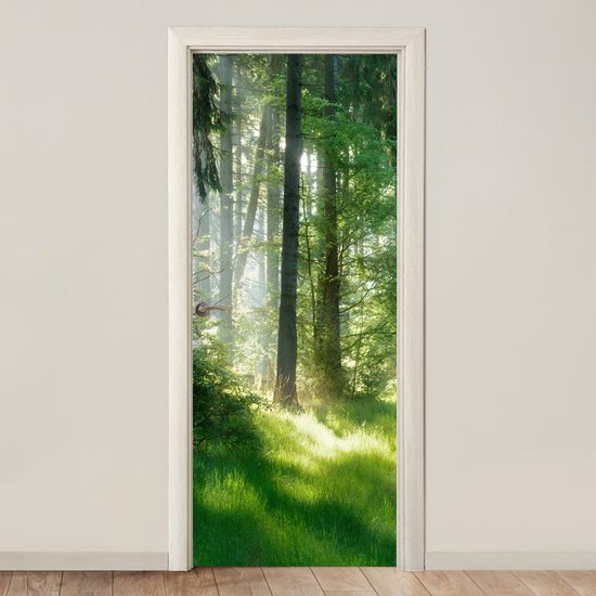 Deurposter 80x205 cm - Deursticker Natuur - Bomen - Bos - Groen - Zon - Gras - Planten - Meubelfolie zelfklevend - Deurfolie woonkamer - Interieurfolie fotobehang - Deur plakfolie - Deurstickers - Deurbehang sticker - Kamer decoratie