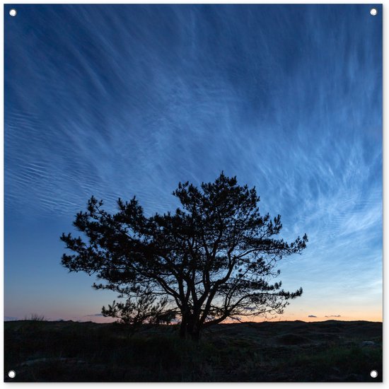 Toile de jardin Lever de soleil sur Ameland et la silhouette d'un arbre - 100x100 cm