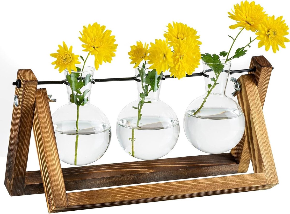 Upgrade je Planten Propagation Station met Houten Stand en Glazen Pot - Vintage Tafel Decoratie voor Binnen met 3 Lampen, Ideaal voor Thuis en Kantoor