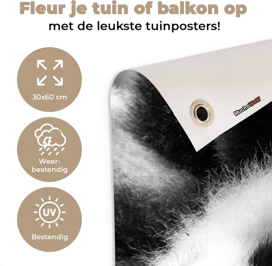 Tuinposter 30x60 cm - Tuindecoratie Dierenprofiel rollende panda in zwart-wit - Poster voor in de tuin - Buiten decoratie - Schutting tuinschilderij - Tuindoek muurdecoratie - Wanddecoratie balkondoek