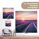 Afbeelding nummer  14