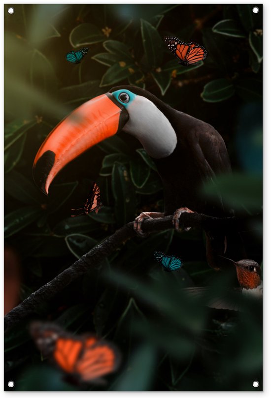 Tuinposter 80x120 cm - Tuindecoratie Toekan - Vogel - Jungle - Poster voor in de tuin - Buiten decoratie - Schutting tuinschilderij - Tuindoek muurdecoratie - Wanddecoratie balkondoek