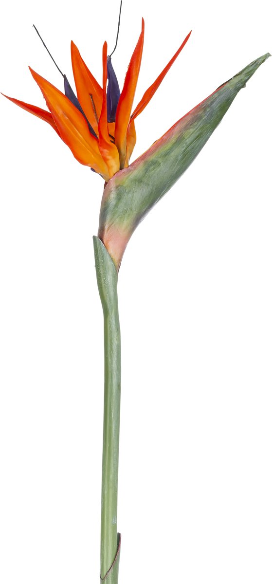 Easyplants | Kunstbloem Strelitzia 86 cm rood/paars | Zijde | Nepbloemen | paars | Onderhoudsvrij | Kant-en-klaar