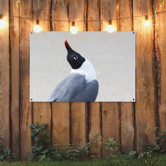 Poster Jardin mouette souriante 120x80 cm - Toile de jardin / Toile d'extérieur / Peintures d'extérieur (décoration de jardin)