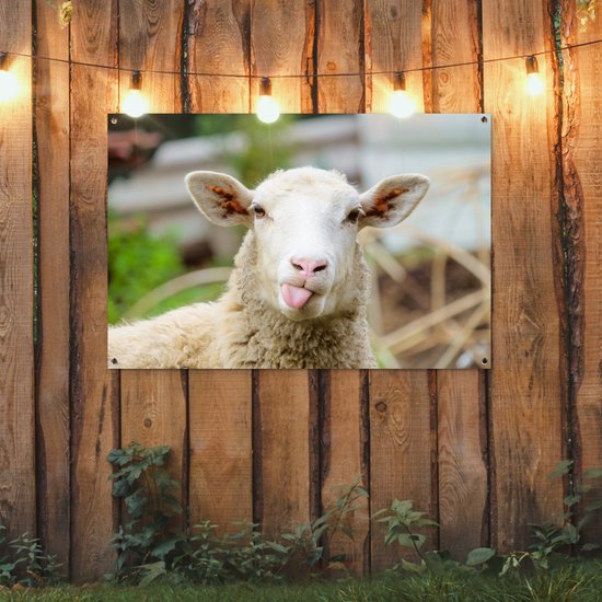 Une affiche de jardin représentant un mouton tirant la langue, accrochée à une clôture en bois éclairée par des guirlandes lumineuses.