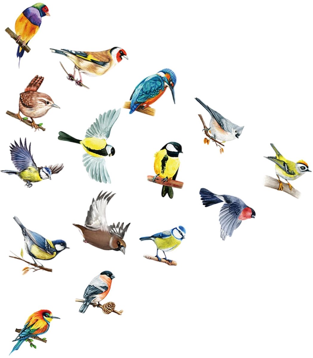 Cosensi- Raamstickers Vogels - Dubbelzijdig en zelfklevend - Raamdecoratie - Vogelbescherming - Anticollisiefilm - Kleur: Gekleurd - Materiaal: PVC