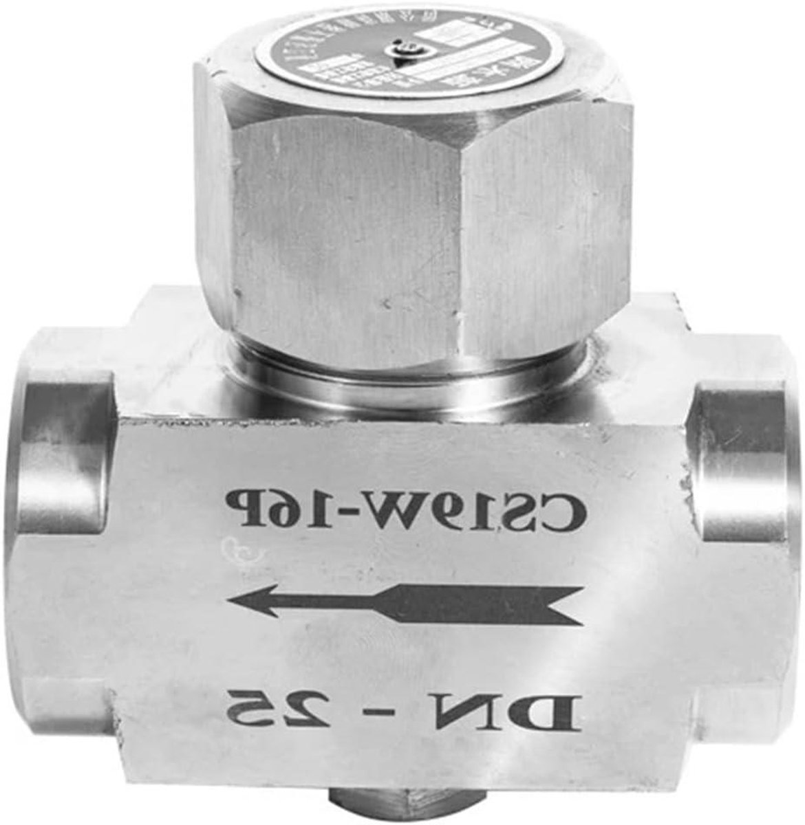 Stoomreiniger Ventiel - Stoomklep - Stoomreiniging - BSPT Schroefdraad - 1 inch - Zilverkleurig