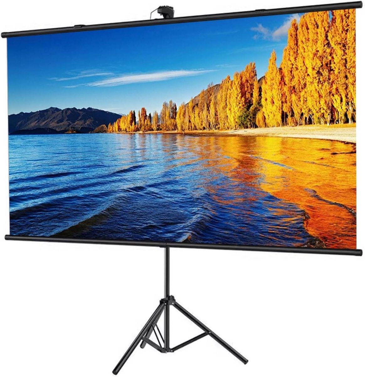 Projectiescherm met Statief - Filmscherm Outdoor - Thuisbioscoop Creëren - 4K HD Lichtbestendig - 60 inch 16:9 - Zwart