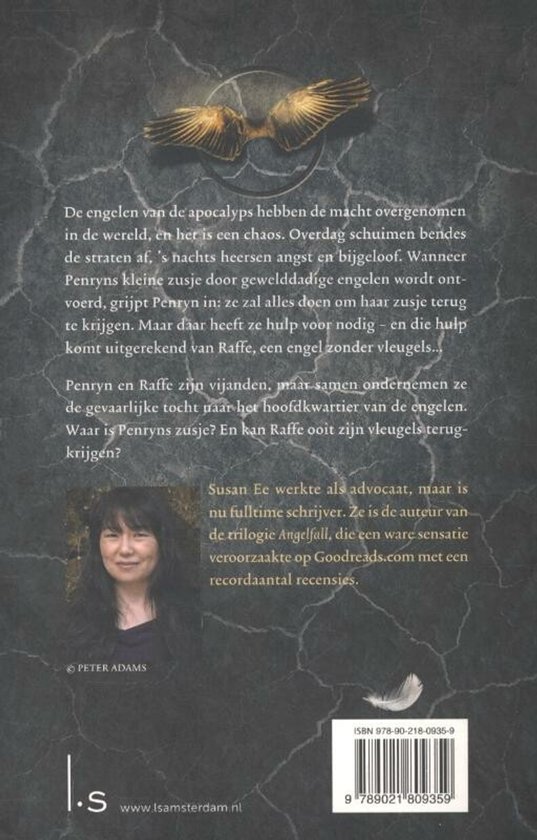 Boekomslag met een vrouw en een tekst over een engel die zonder vleugels is. Er staat 'Penryn & het einde der dagen'.