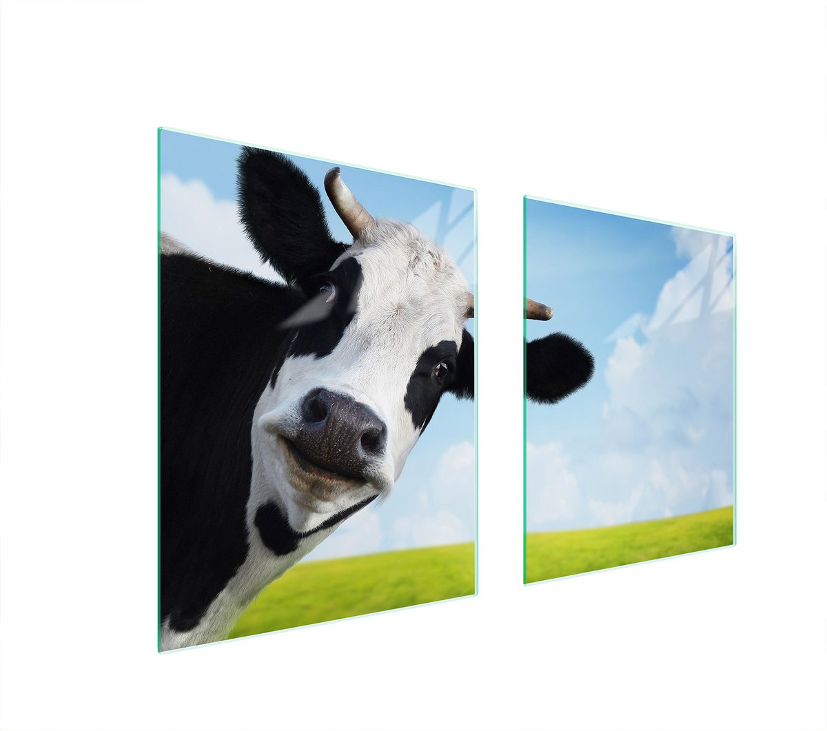 TMK ArtDeko Serie - Glasplaat voor Fornuis - Koe - 85x52 cm