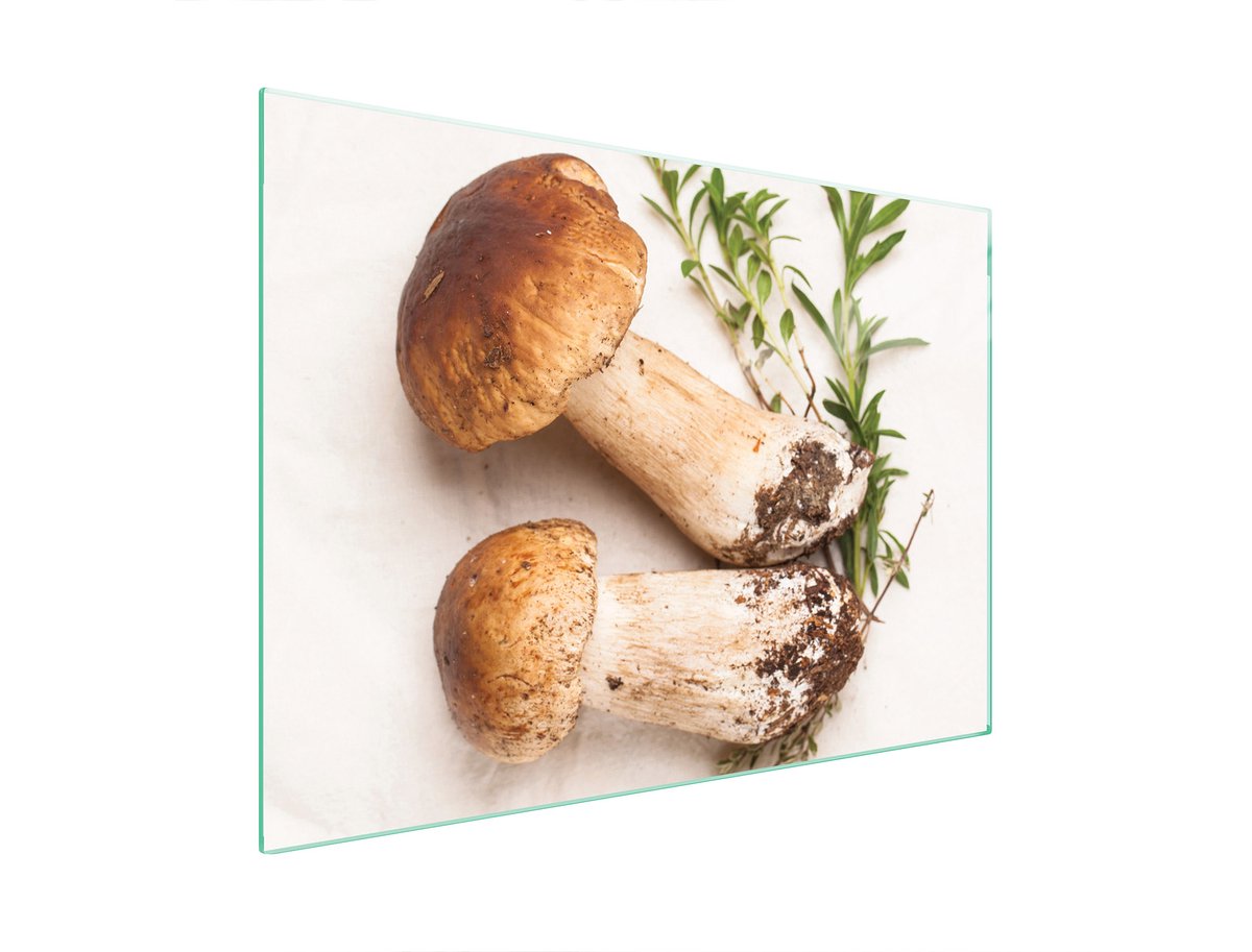 TMK ArtDeko - Glazen Beschermplaat - 70x52 cm - Paddestoelen