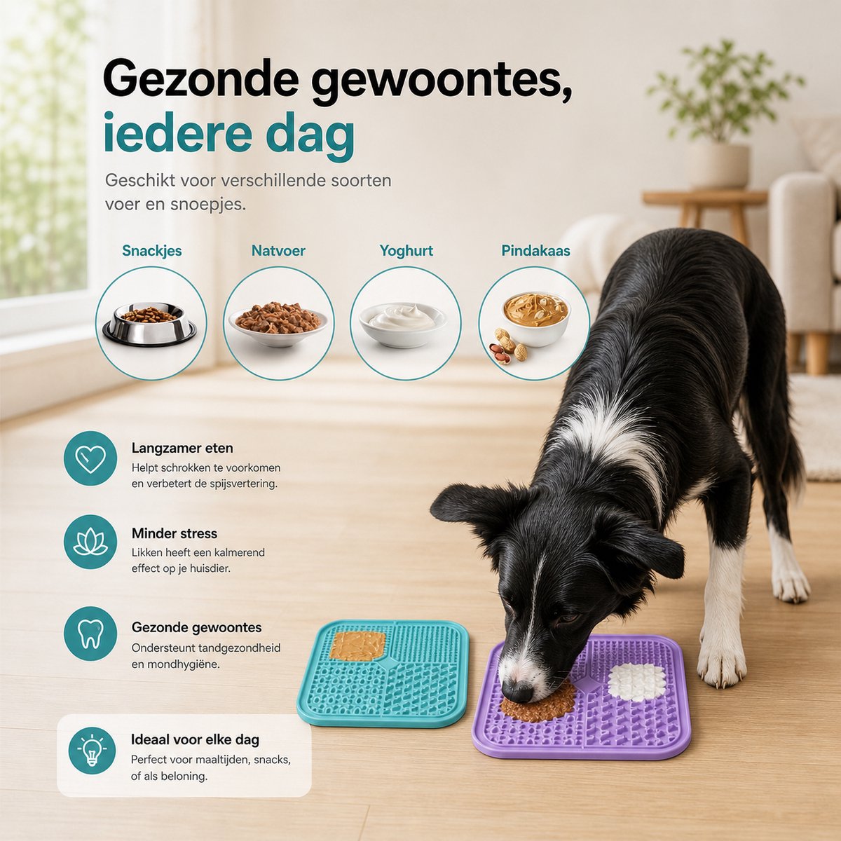 BOTC Likmat Hond met Silicone spatulas - Paars /Blauw thumbnail 2