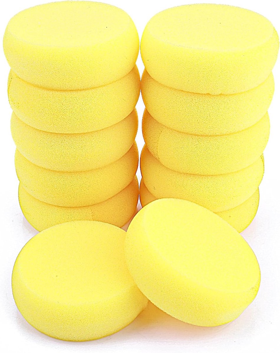12 Stuks Ronde Schilder Sponsen en Kwasten Set voor DIY Schilderprojecten en Keramiek Crafting
