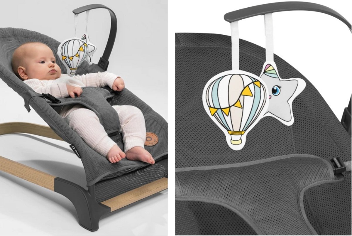 Lionelo June Wipstoel Baby – tot 9 kg – 3-punts veiligheidsgordels – Lichtgewicht – Mesh Bekleding – Plat Opvouwbaar – Natuurlijke Schommelbeweging – Gecertificeerd – Babyschommel & Wipstoeltje thumbnail 2