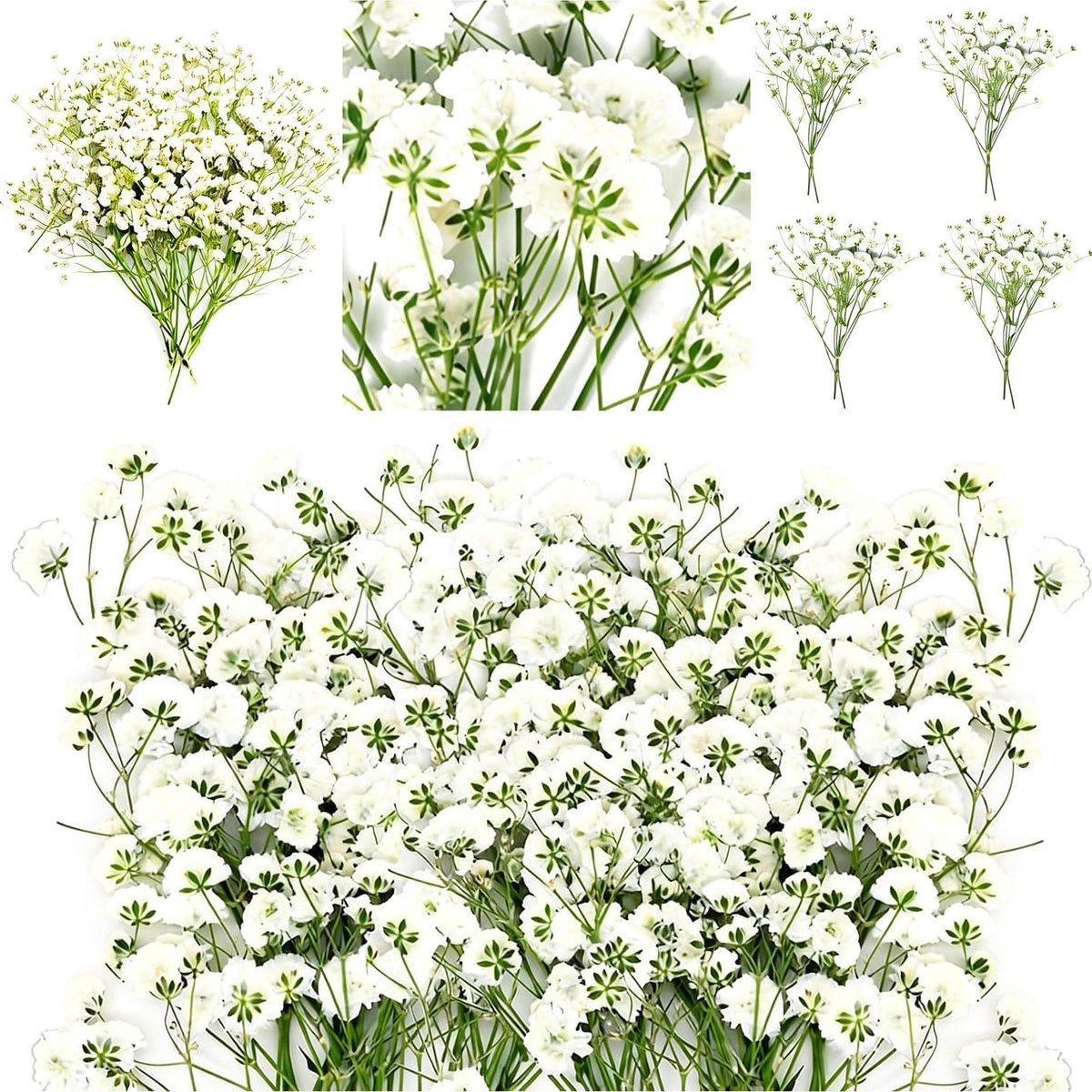 60 Stuks Gedroogde Kunstmatige Gypsophila met Pincet, Natuurlijke Dried Flowers voor Resin Art, Ambachten, DIY Kaarten en Bruiloften