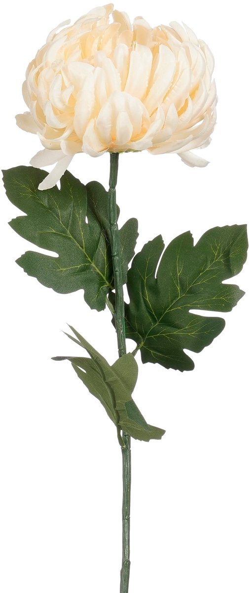 Mica Decorations Levensechte Kunstbloem Chrysant - Zijde - Geen Onderhoud - Decoratie Wit/Creme