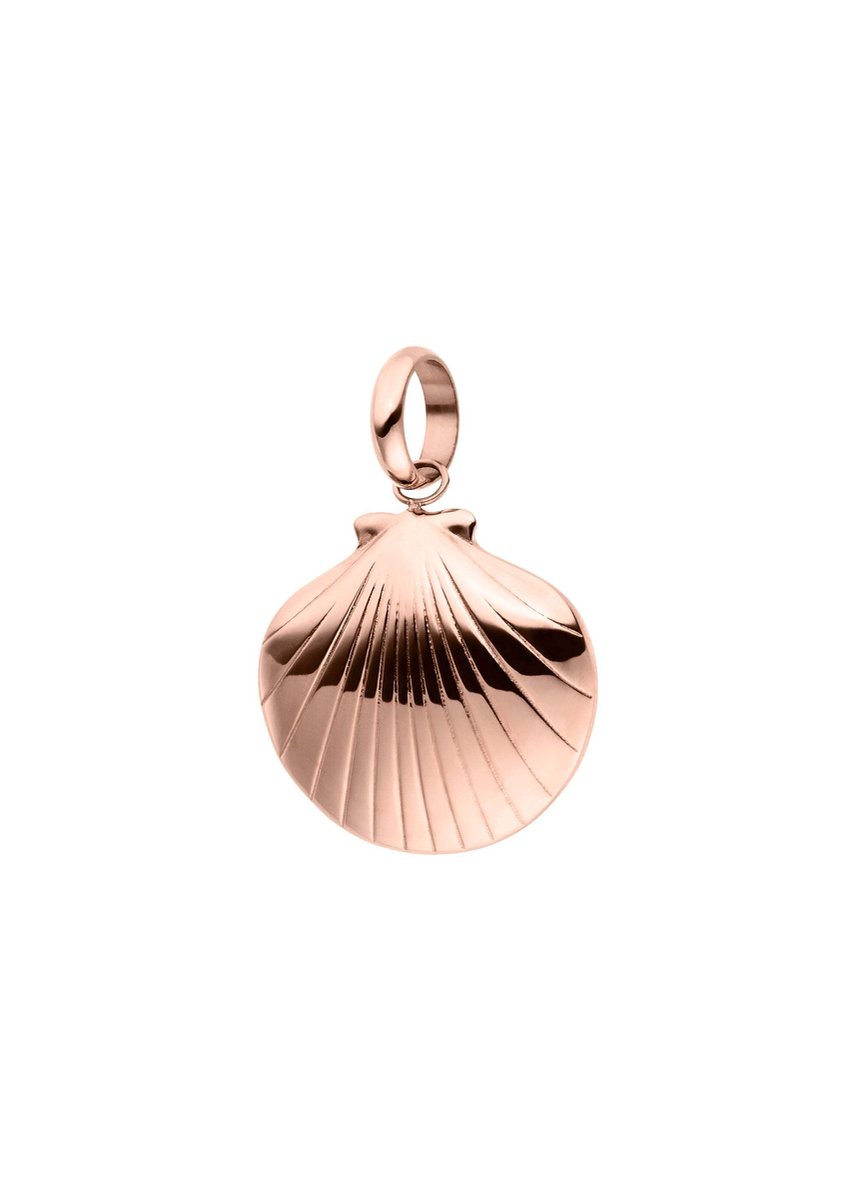 PURELEI Charm Seashell