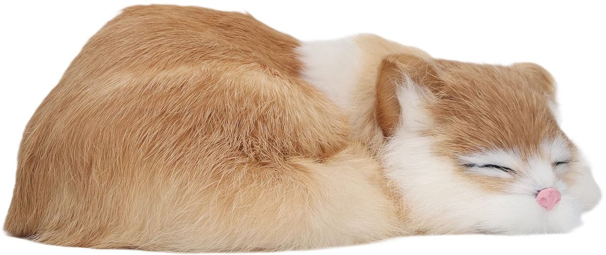 Dailygoods - Dailygoody - Harig slapend kattenbeeldje - Realistisch pluche model - Ideale vervanging voor echte huisdieren - Zachte pluizige vacht - Perfect v
