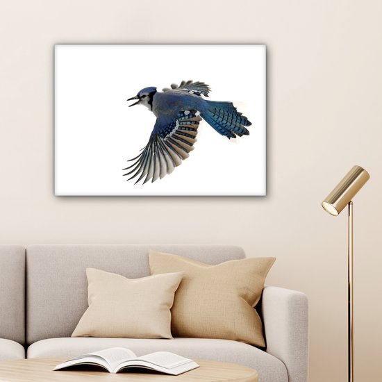 Blue Jay devant toile fond blanc 2cm 80x60 cm - impression photo sur toile peinture Décoration murale salon / chambre à coucher) / Animaux sauvages Peintures Toile