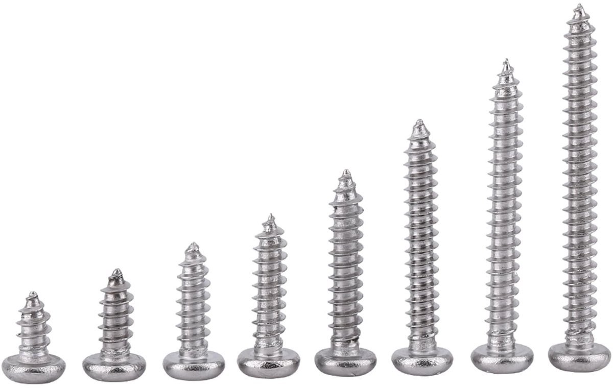 Dailygoods - 200 Stuks RVS Zelftappende Schroeven voor Diverse Toepassingen