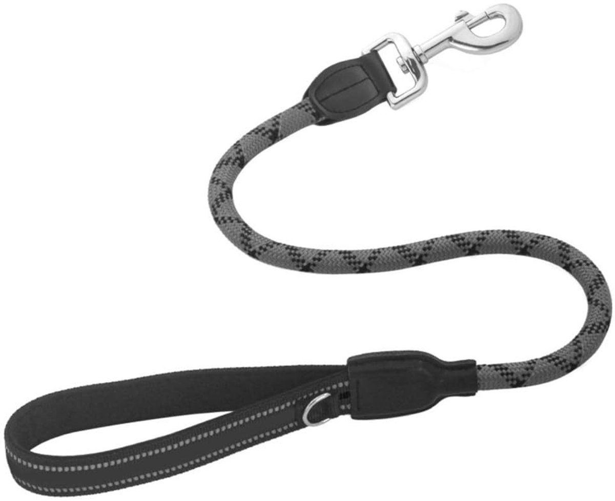 Dailygoods- Hondenriem - Elastische Nylon - Gevoerd Handvat - Reflecterende Stiksels - Metalen D-Ring - Duurzaam Materiaal - Hondentouw