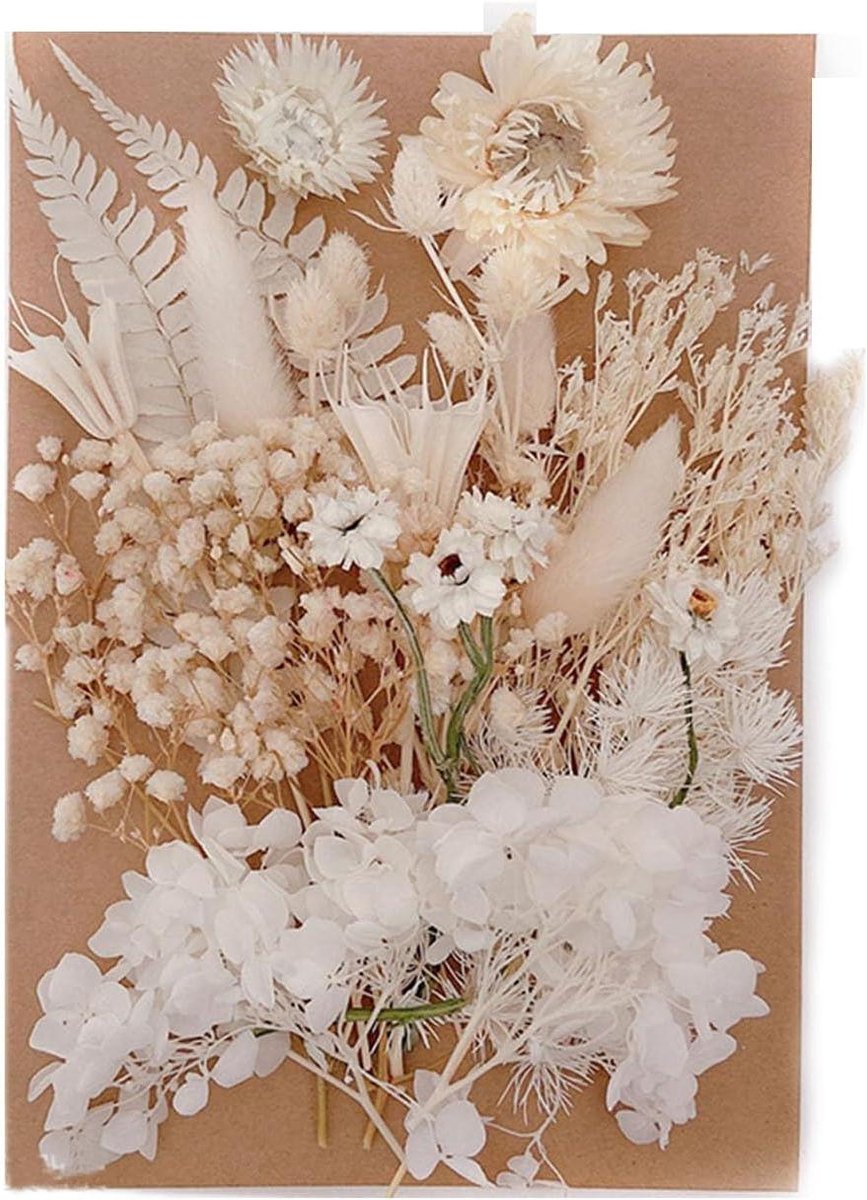 Geperste bloemen - Gedroogde bloemblaadjes - Hars knutselen - Echte botanische - 1 doos - Multicolor