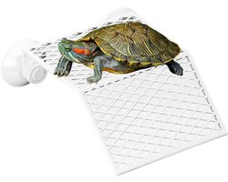Schildpad Basking - Reptielen Verrijking - Zonnebaden Terrarium - Duurzaam Zuigontwerp - 15 x 15 x 3 cm - Meerkleurig