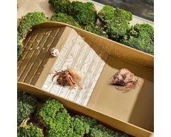 Waterbekken voor schildpadden met klimhelling en reptielenbad accessoires