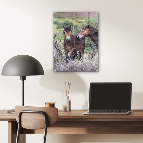 ® Glasschilderij 30x40 cm - Schilderij acrylglas - Paarden in het Nationaal park Exmoor in Engeland - Foto op glas - Muurdecoratie woonkamer - Wanddecoratie slaapkamer - Schilderijen