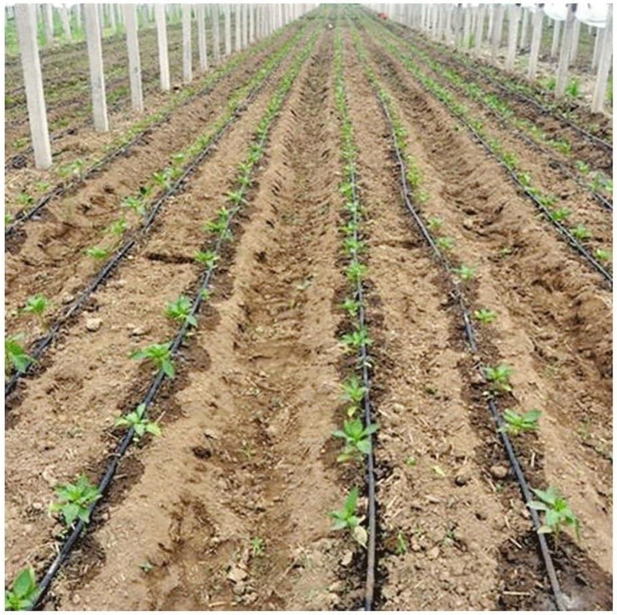 Druppelslang tape - Micro irrigatie - Planten water geven - Gladde watertoevoer - 100 meter - Groen